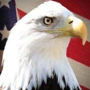 Profile photo of Bob and Tammy