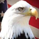 Profile photo of Bob and Tammy